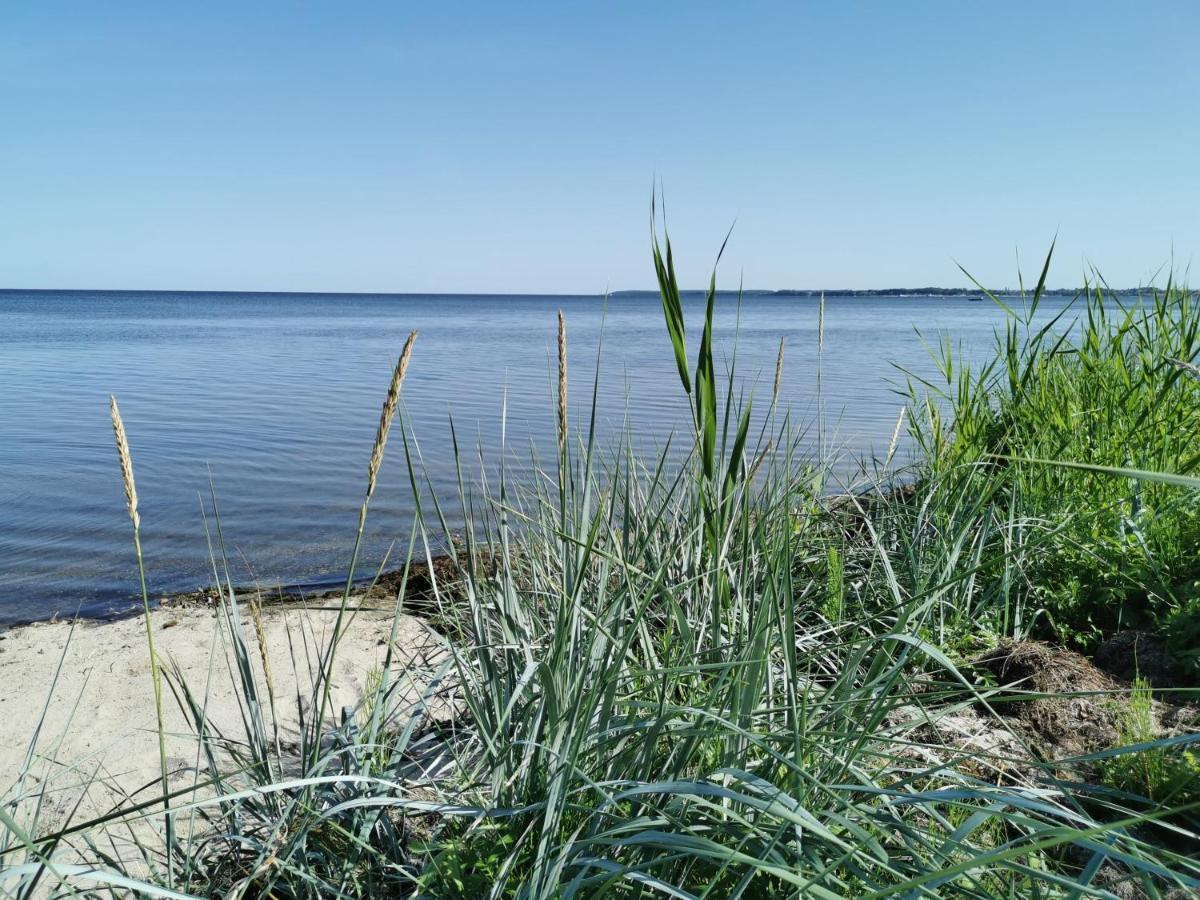 Domek Morski Swarzewo Dış mekan fotoğraf